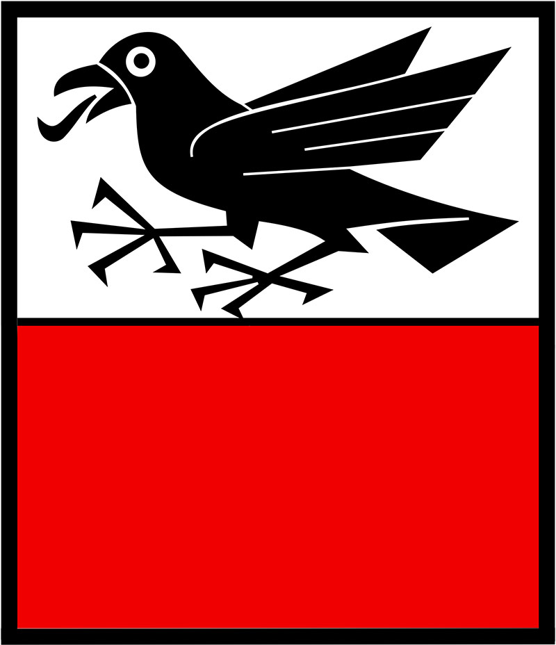 SVP Rapperswil-Bern